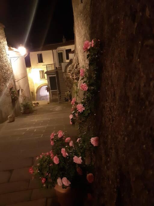 Boccheggiano Casa Il Girasole 빌라 외부 사진