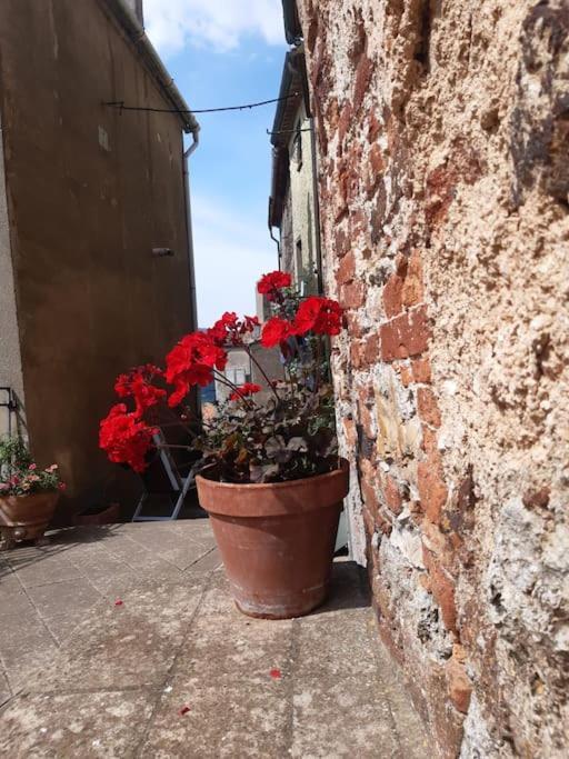 Boccheggiano Casa Il Girasole 빌라 외부 사진