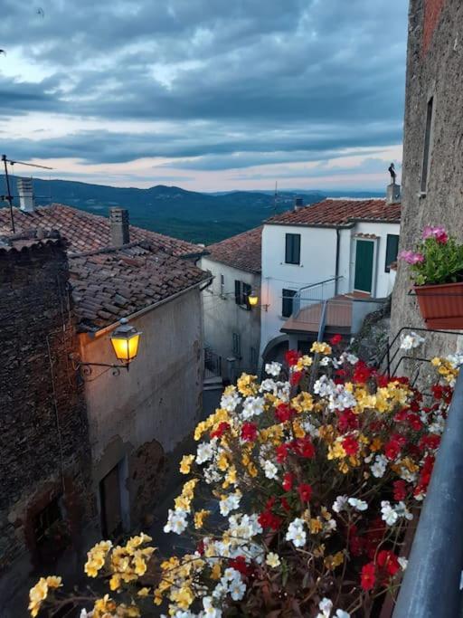 Boccheggiano Casa Il Girasole 빌라 외부 사진