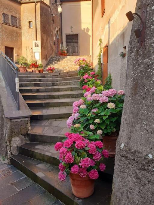 Boccheggiano Casa Il Girasole 빌라 외부 사진